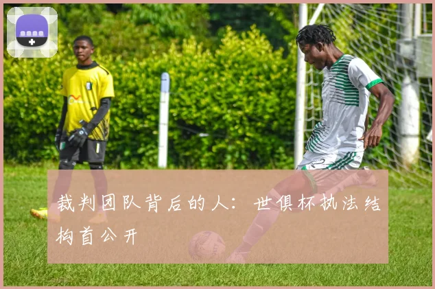 裁判团队背后的人：世俱杯执法结构首公开