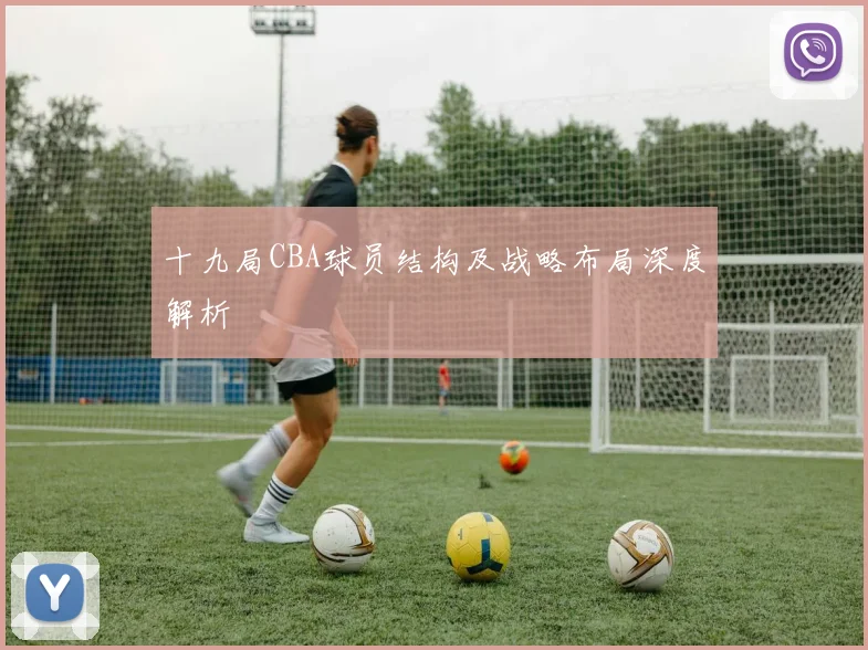 十九局CBA球员结构及战略布局深度解析