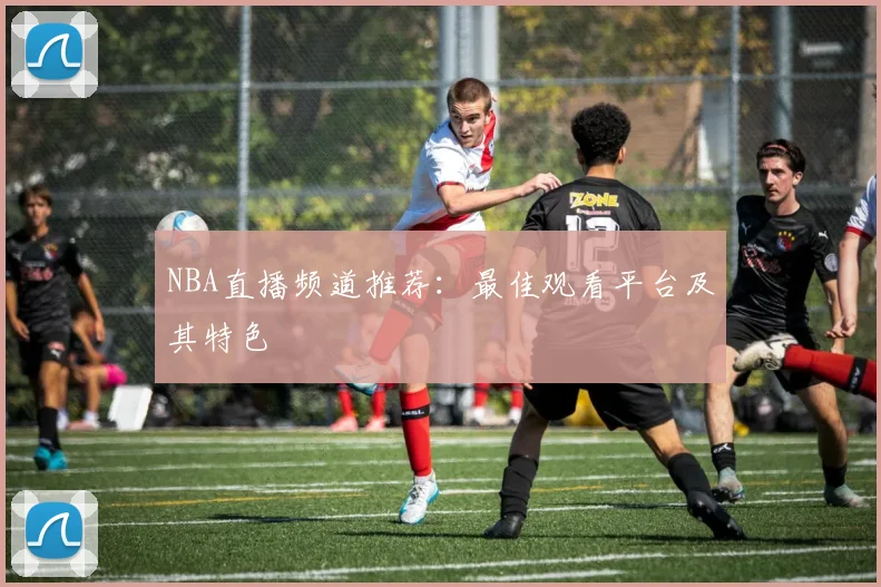 NBA直播频道推荐：最佳观看平台及其特色
